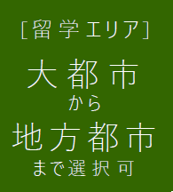 大都市&地方都市